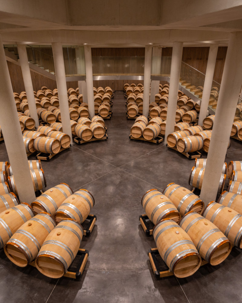 Salle avec des tonneaux de vins en bois